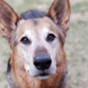 Meet your Posher, Tim